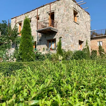 Bed & Breakfast Ballkon Turi