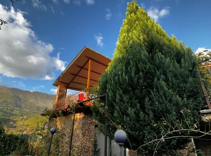 Ballkon Turi * Pellumbas