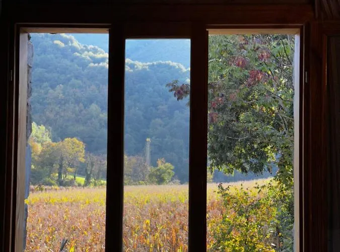 Oda ve Kahvaltı Ballkon Turi *