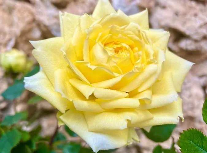 Ballkon Turi 住宿加早餐酒店